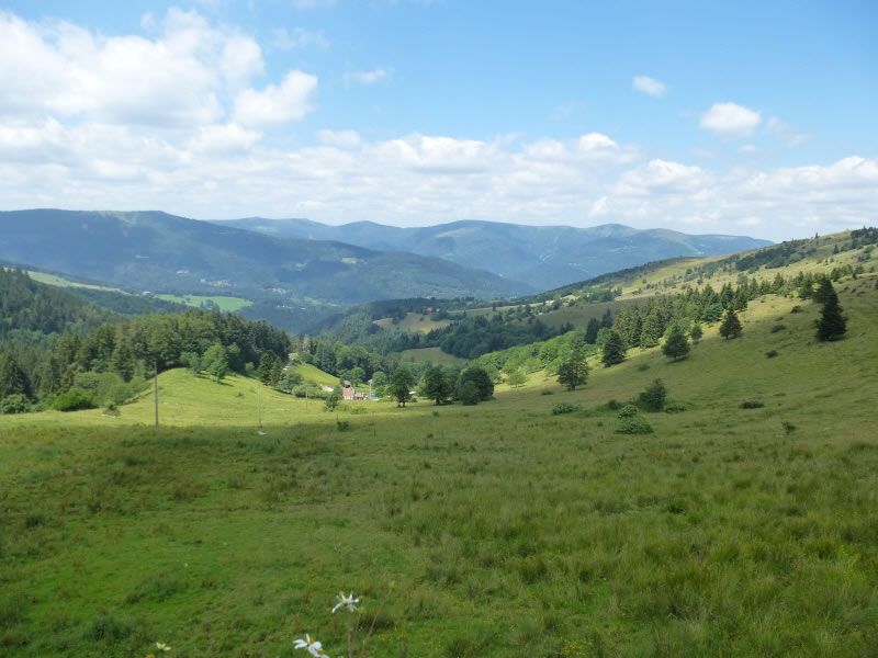 Der Knick Nahe am Rhein - Die Kurztour