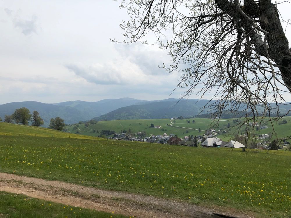 ZOF - Zwischen Odenwald und Fichtelgebirge